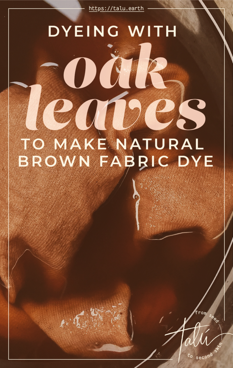 Dyeing with Oak Leaves to Make Natural Brown Fabric Dye T A L Ú